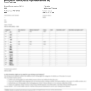 Driving record abstract (RIR) - France