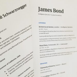 Consulting for Aspiring Subtitlers: Marketing/Resume Review + Consulting Session Package