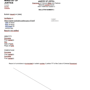 French criminal record