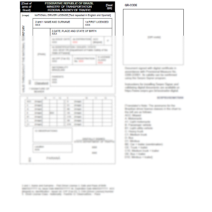Brazil driver license CNH